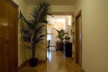 Domus Cavour Roma